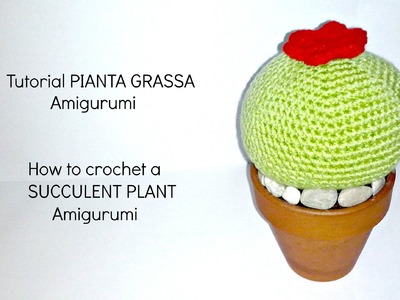 Tutorial Pianta grassa amigurumi | HOW TO CROCHET A SUCCULENT PLANT Amigurumi