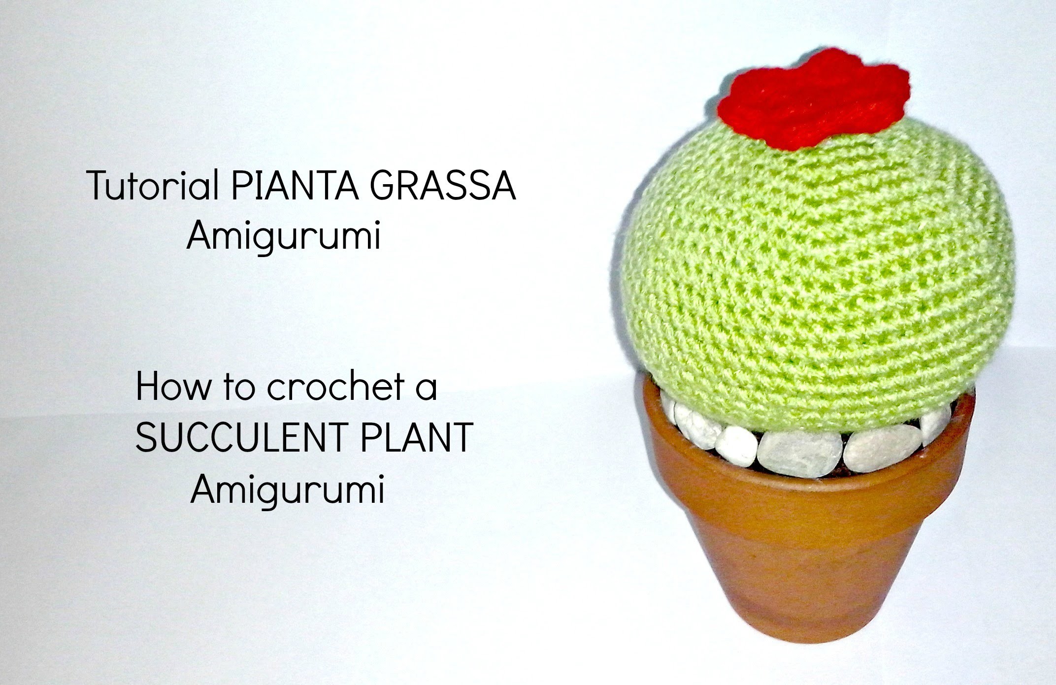 Tutorial Pianta grassa amigurumi | HOW TO CROCHET A SUCCULENT PLANT Amigurumi