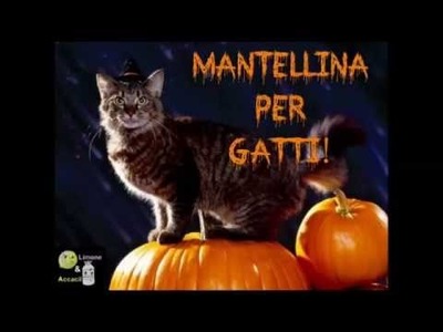 Pet Halloween | DIY Mantellina per Gatti
