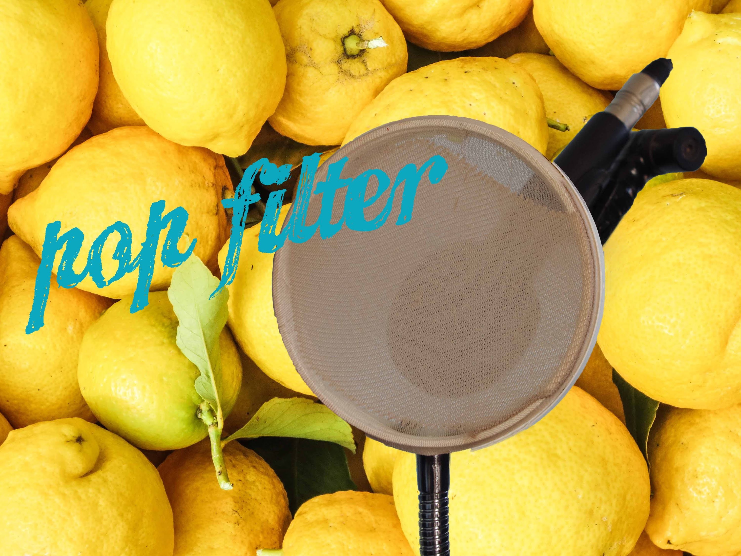 Tutorial : come costruire un Pop filter -DIY - LoStrizzaLimoni