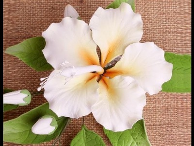 Hibiscus in pasta di zucchero,Gumpaste Flower  hib