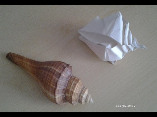 Origami Conchiglia Shell Conquille .  (Gatto999.it)