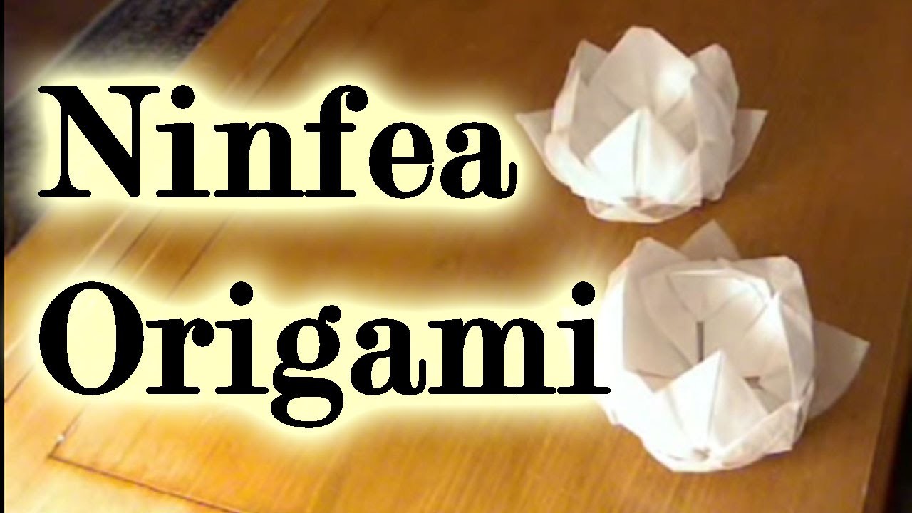 Tutorial origami il fiore di ninfea