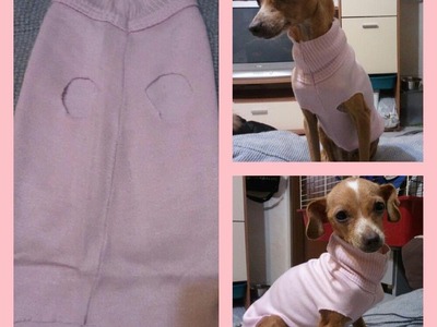 ✿Maglioncini per cani "fai da te"!✿ | DIY Dog Clothes
