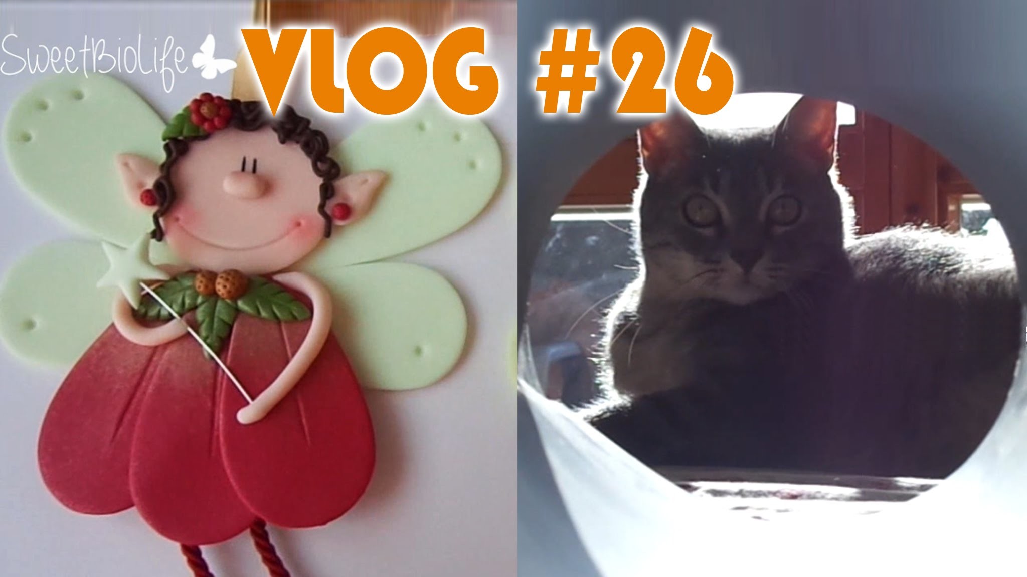 Vlog #26 - Fatina in pasta fimo, flo non vuole giocare