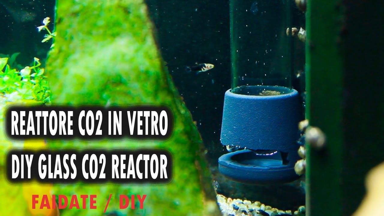 REATTORE CO2 IN VETRO FAI DA TE ACQUARIO | DIY GLASS CO2 DIFFUSER