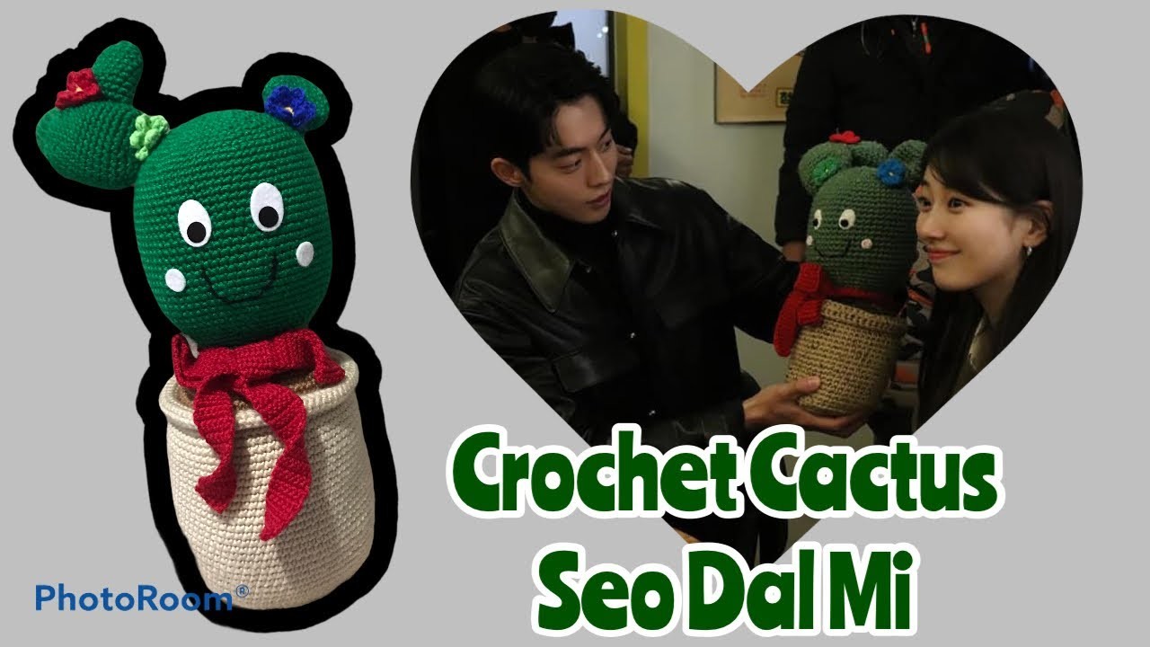 Amigurumi Cactus. Crochet Cactus Seo Dal Mi. Merajut Kaktus Seo Dal Mi. Start Up doll