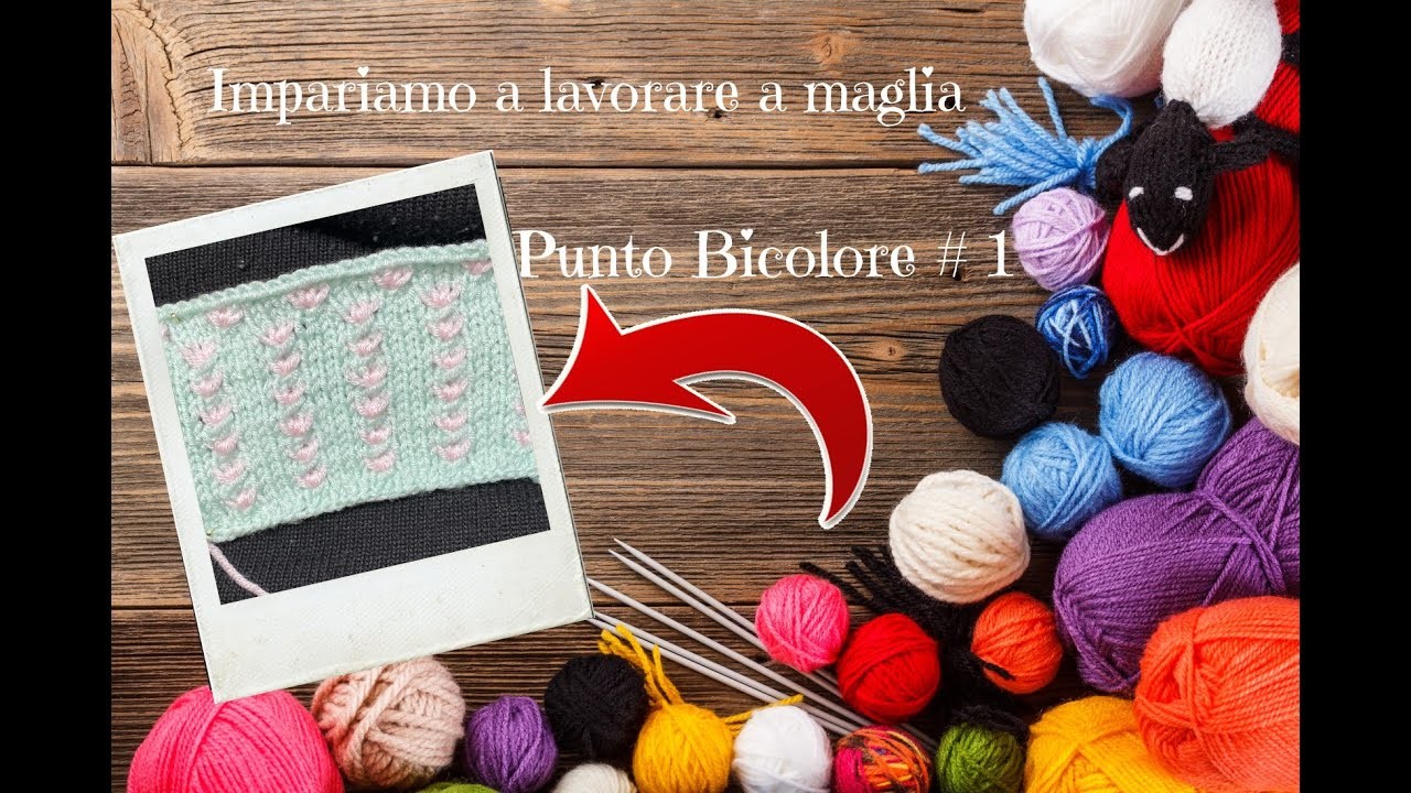 MAGLIA FACILE - PUNTO BICOLORE #01 AI FERRI - ITALIANO