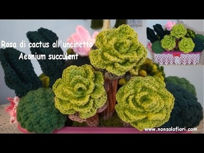 #rosadicactusuncinetto #crochetsucculentplant - Rosa di cactus all'uncinetto Aeonium crochet