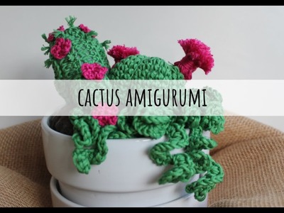Come fare un cactus  a uncinetto amigurumi con fiore - Tutorial