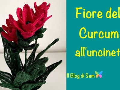 Spiegazione del fiore della Curcuma all'uncinetto