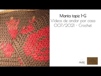Vídeos de andar por casa 7.2021 - Manta de ganchillo en falso tapiz o mosaico - Bloque 4 fin