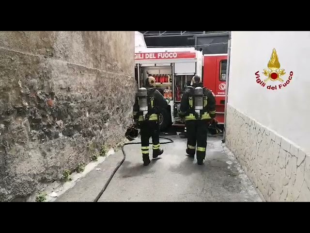 Incendio in abitazione a Catania, vigili del fuoco salvano Oscar, un bassotto