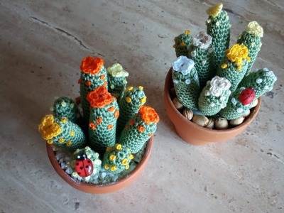 Tutorial piccolo cactus #amigurumi #uncinetto #piantegrasse #crochet #succulent
