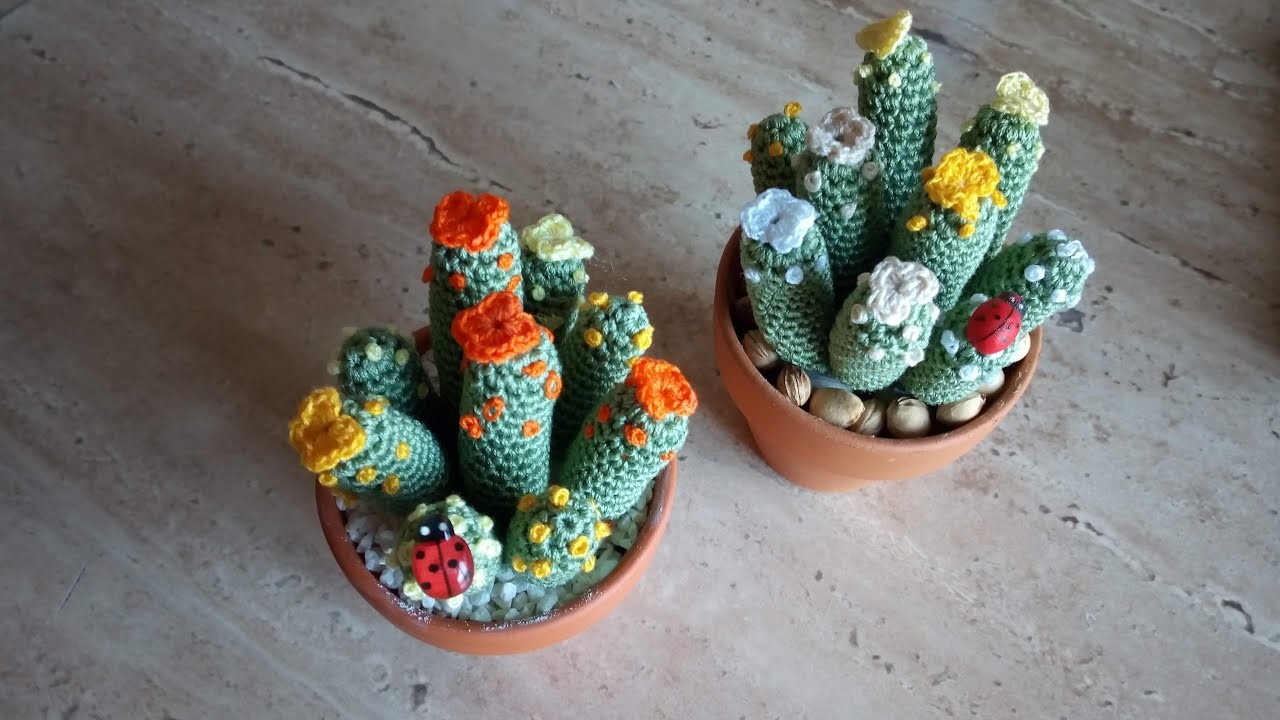Tutorial piccolo cactus #amigurumi #uncinetto #piantegrasse #crochet #succulent