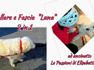 ????Collare e Fascia "Luna"  #uncinetto#crochet  Le Passioni di Elisabetta ????