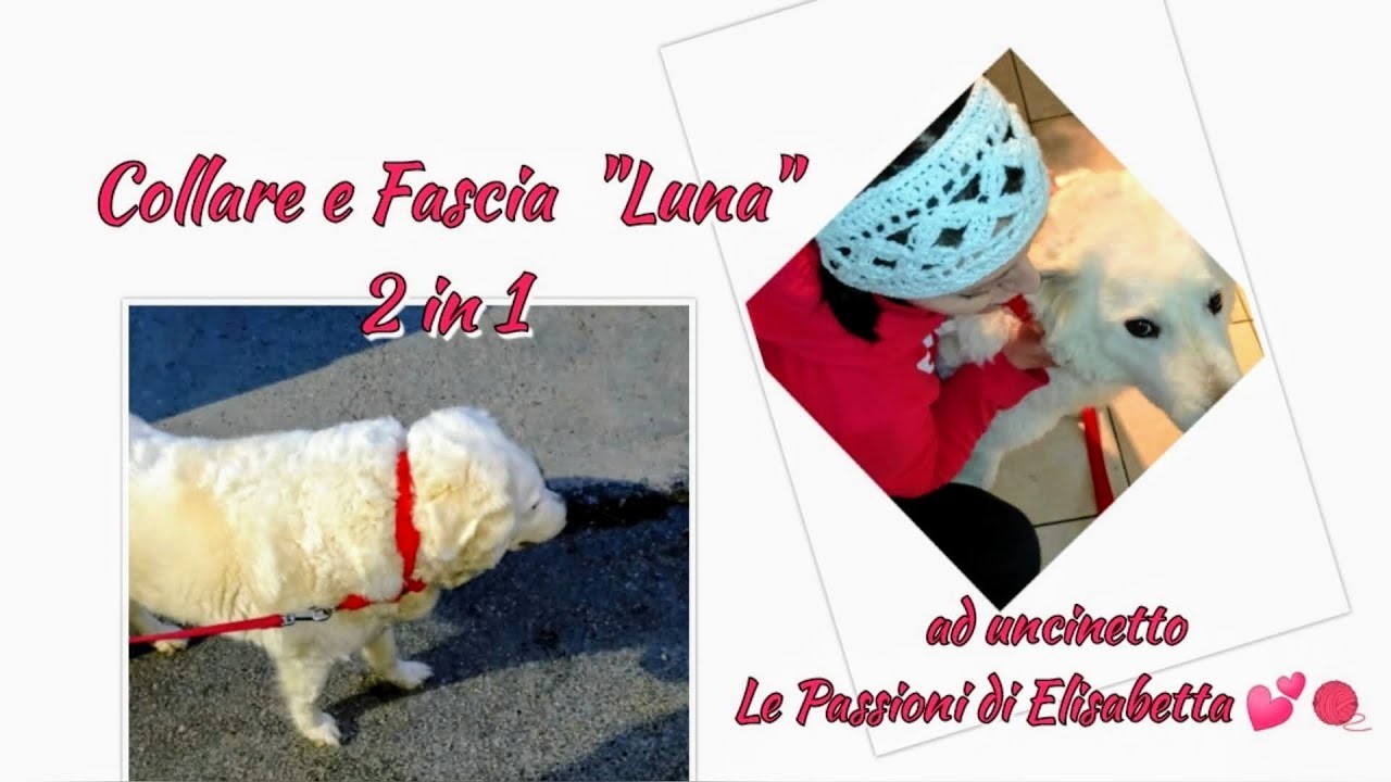 ????Collare e Fascia "Luna"  #uncinetto#crochet  Le Passioni di Elisabetta ????