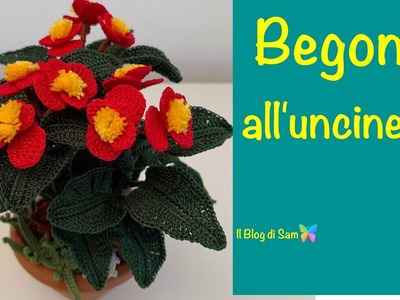 Spiegazione della Begonia all'uncinetto