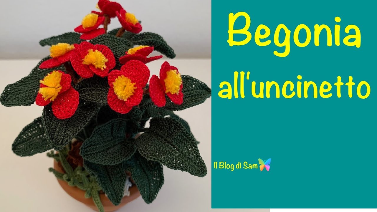 Spiegazione della Begonia all'uncinetto