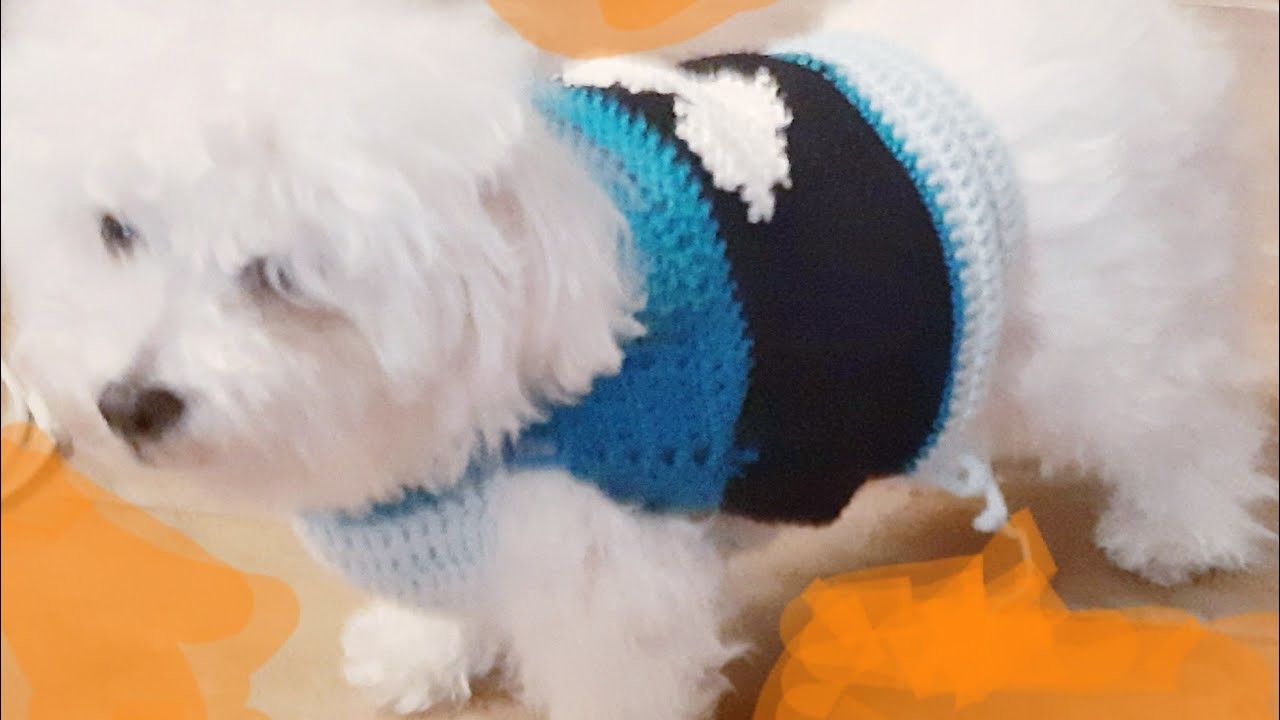 Crochet . Vestitino cane zampe libere all'uncinetto. Dog t-shirt
