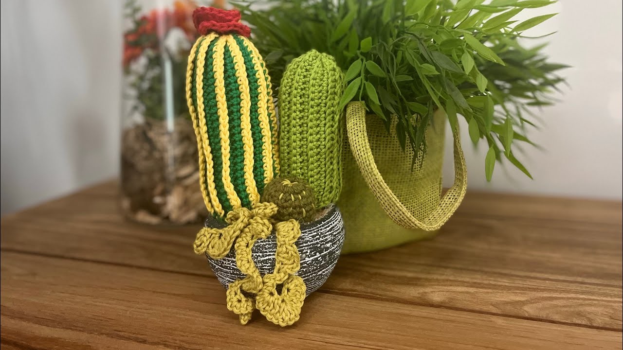 Piante grasse facili all’uncinetto: il cactus rigato